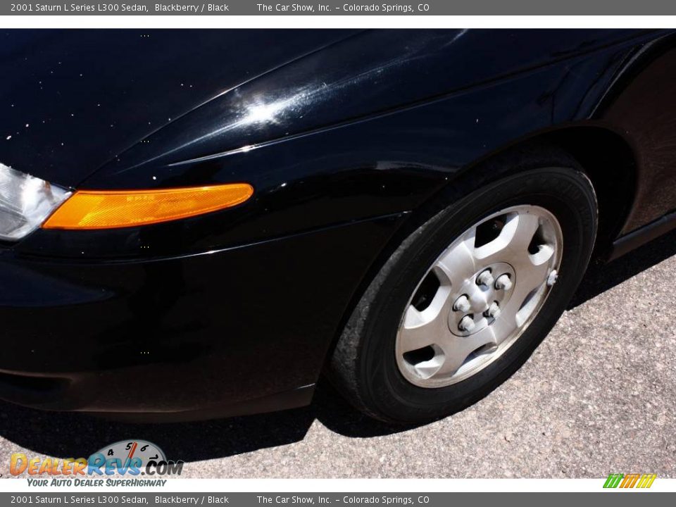 2001 Saturn L Series L300 Sedan Blackberry / Black Photo #20