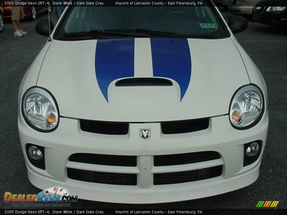 2005 Dodge Neon SRT-4 Stone White / Dark Slate Gray Photo #2