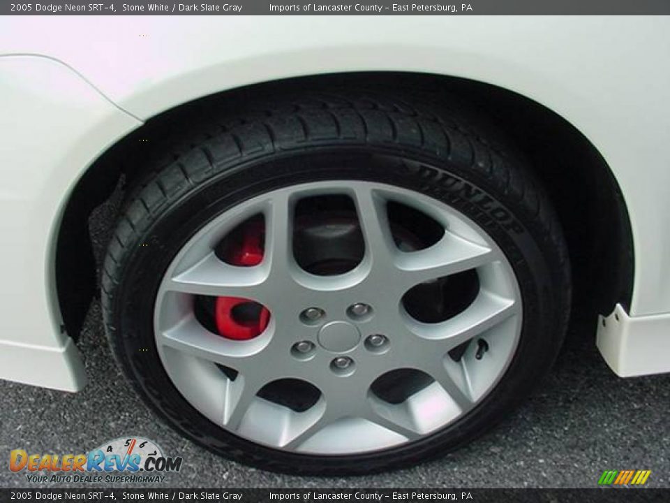 2005 Dodge Neon SRT-4 Stone White / Dark Slate Gray Photo #9