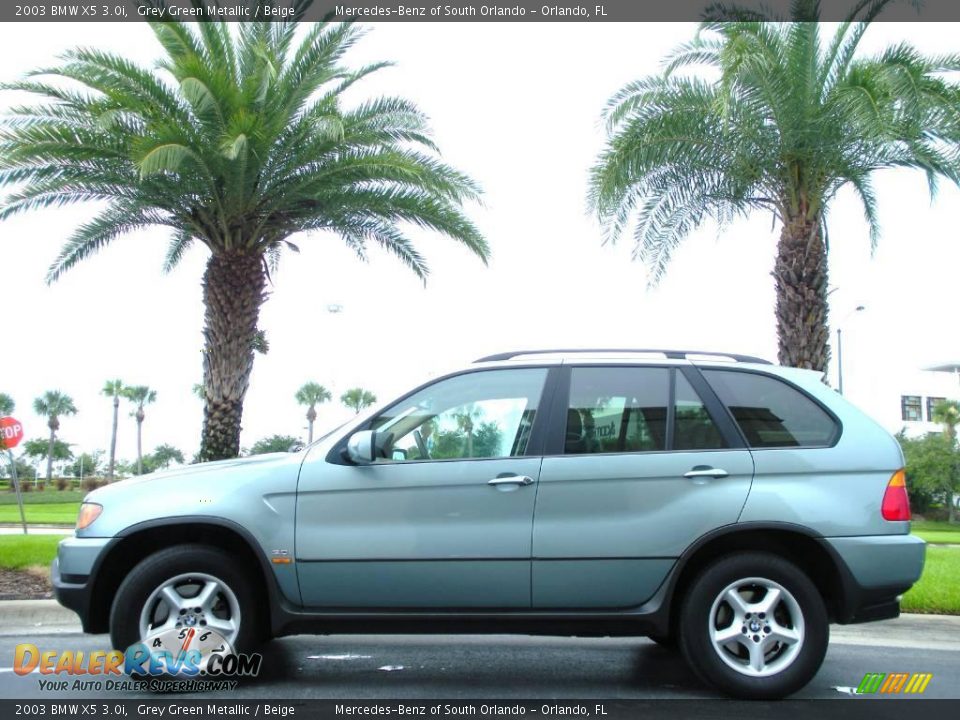 2003 BMW X5 3.0i Grey Green Metallic / Beige Photo #1