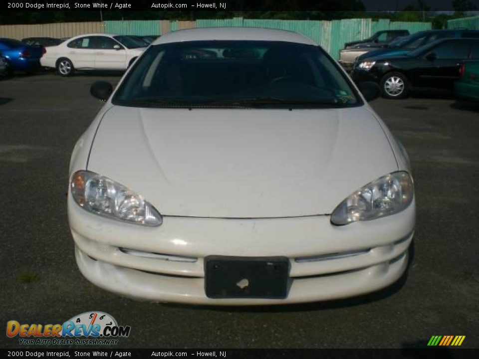 2000 Dodge Intrepid Stone White / Agate Photo #1