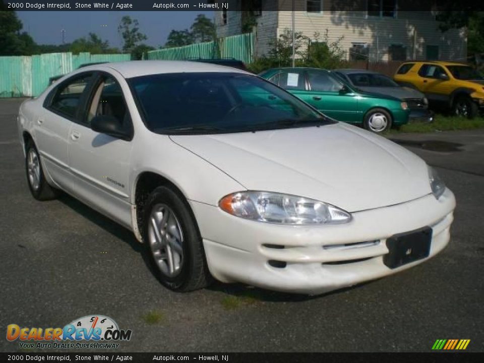 2000 Dodge Intrepid Stone White / Agate Photo #2