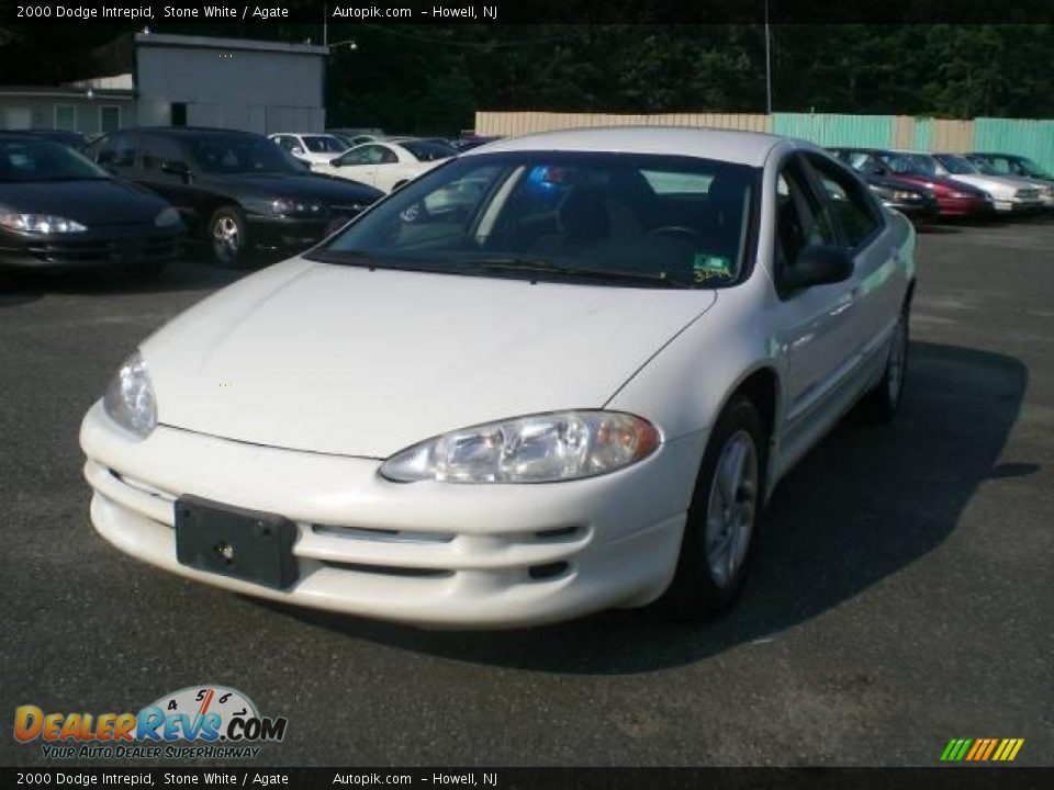 2000 Dodge Intrepid Stone White / Agate Photo #3