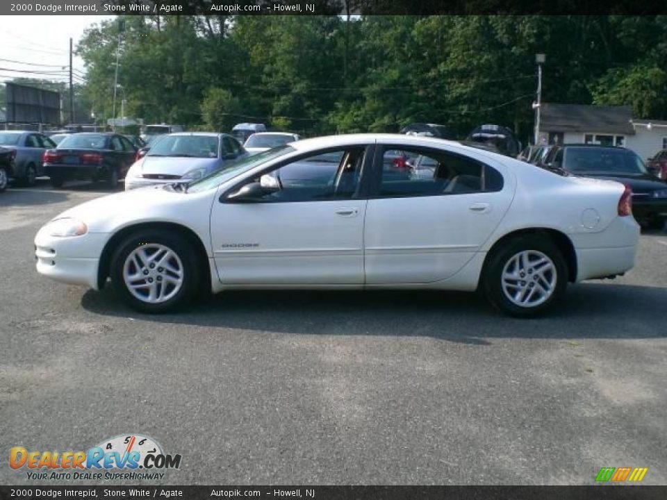 2000 Dodge Intrepid Stone White / Agate Photo #4