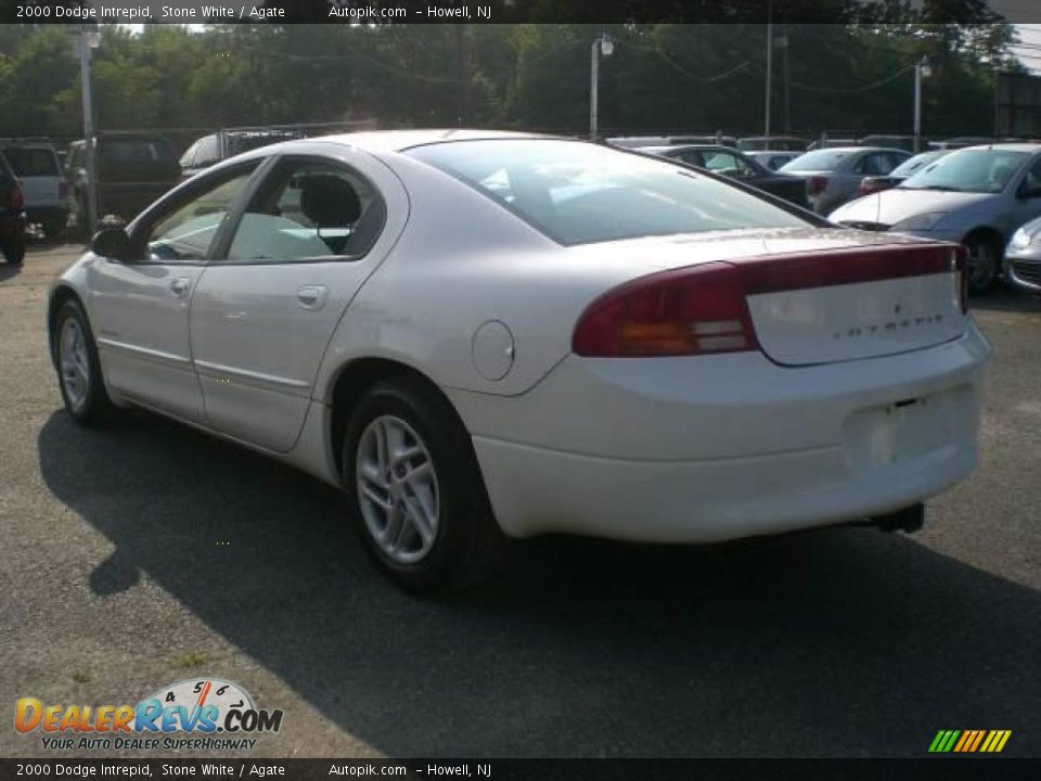 2000 Dodge Intrepid Stone White / Agate Photo #5