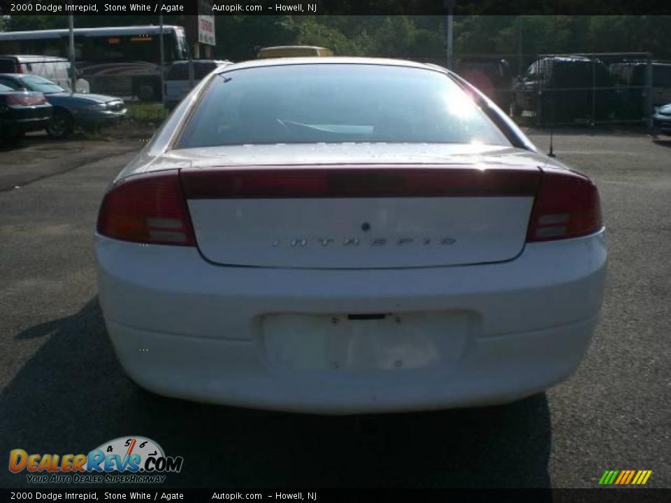2000 Dodge Intrepid Stone White / Agate Photo #6
