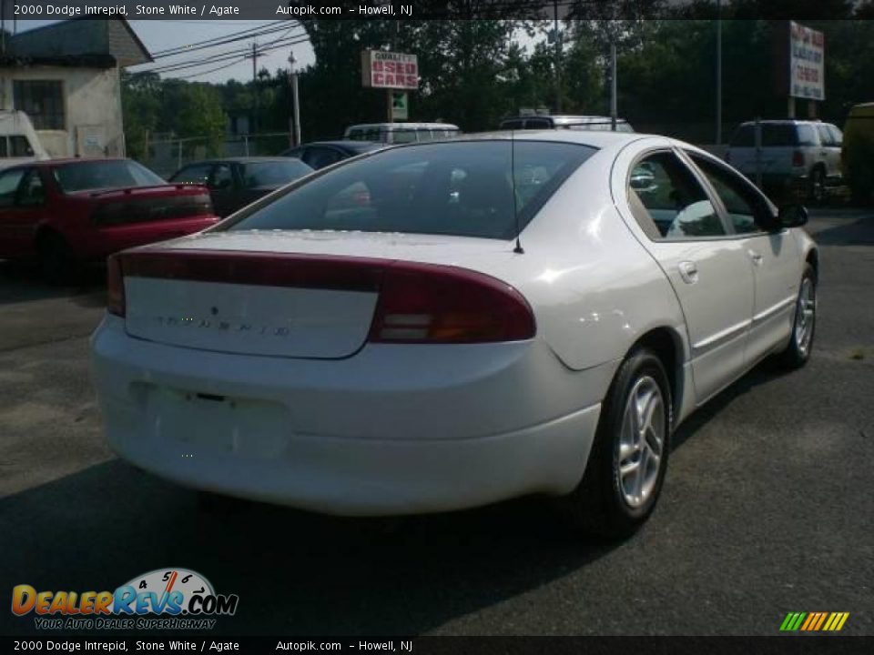 2000 Dodge Intrepid Stone White / Agate Photo #7