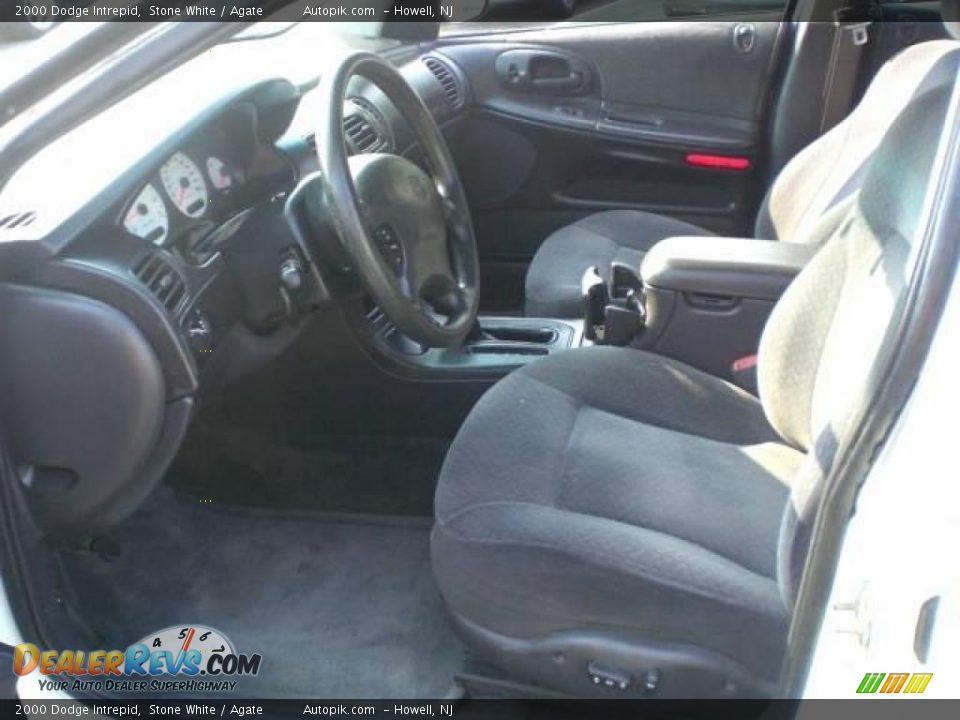 2000 Dodge Intrepid Stone White / Agate Photo #9