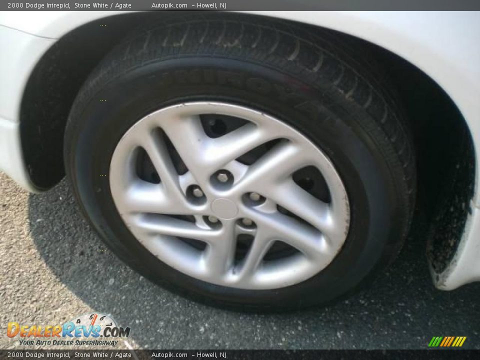 2000 Dodge Intrepid Stone White / Agate Photo #15
