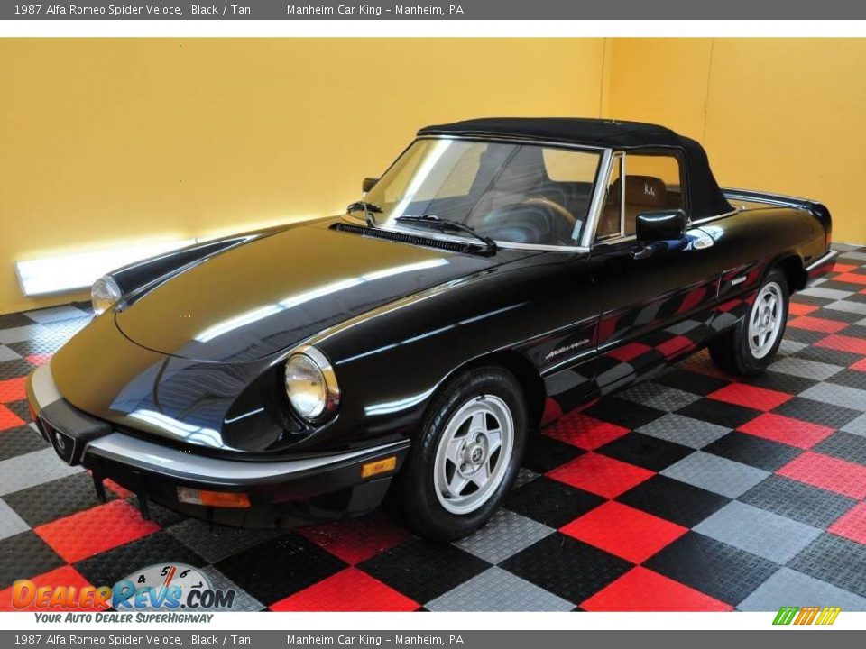 Front 3/4 View of 1987 Alfa Romeo Spider Veloce Photo #3
