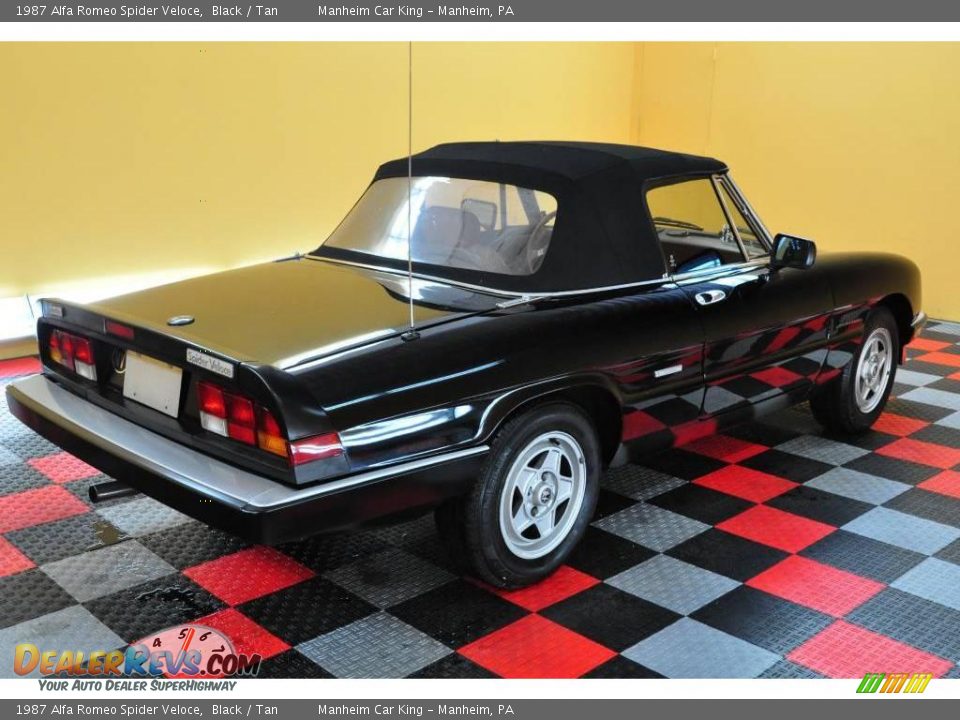 Black 1987 Alfa Romeo Spider Veloce Photo #6