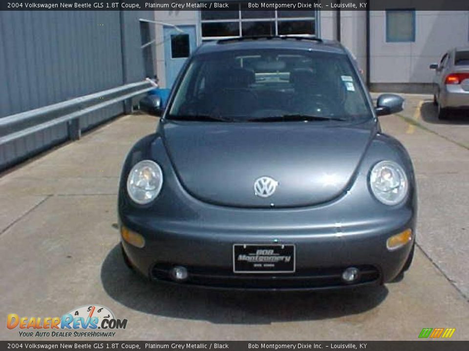 2004 Volkswagen New Beetle GLS 1.8T Coupe Platinum Grey Metallic / Black Photo #3