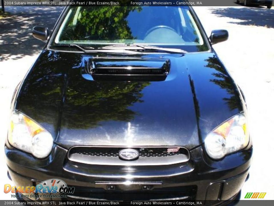 2004 Subaru Impreza WRX STi Java Black Pearl / Blue Ecsaine/Black Photo #5