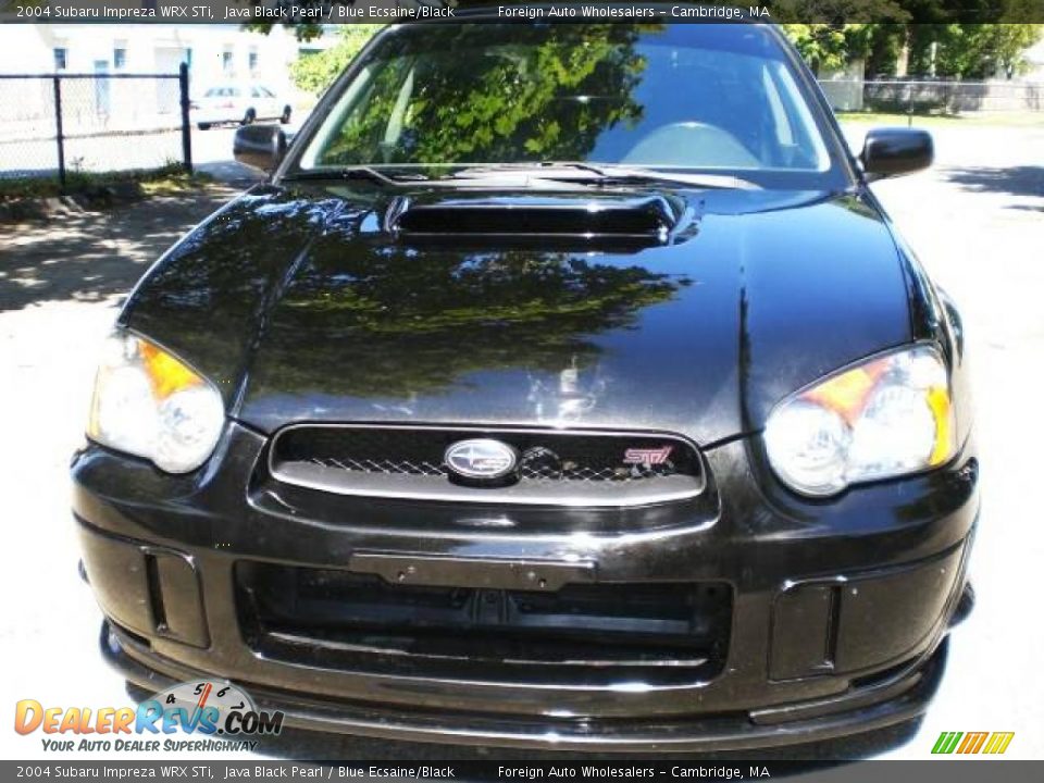 2004 Subaru Impreza WRX STi Java Black Pearl / Blue Ecsaine/Black Photo #6