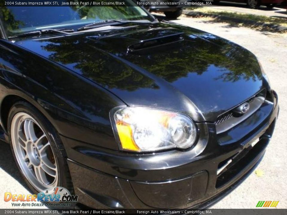 2004 Subaru Impreza WRX STi Java Black Pearl / Blue Ecsaine/Black Photo #21