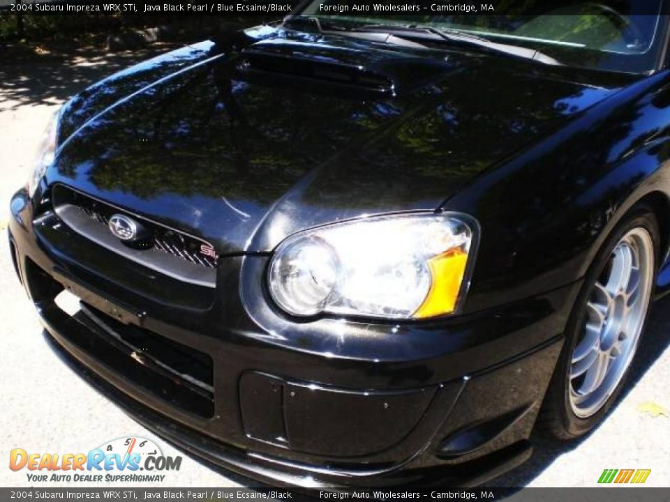 2004 Subaru Impreza WRX STi Java Black Pearl / Blue Ecsaine/Black Photo #22