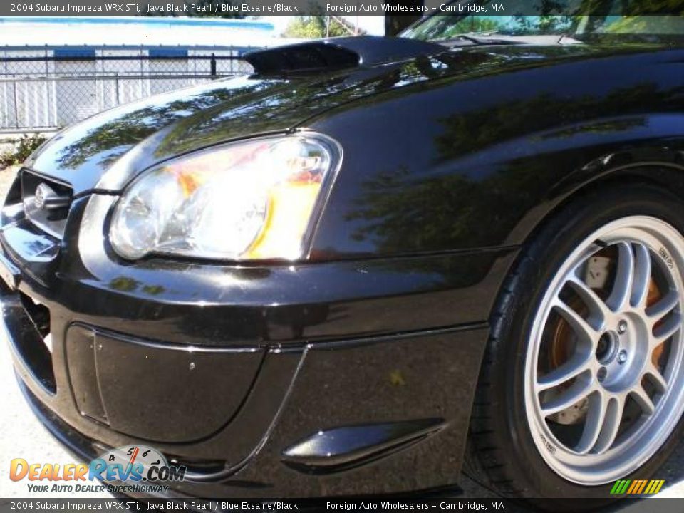 2004 Subaru Impreza WRX STi Java Black Pearl / Blue Ecsaine/Black Photo #28