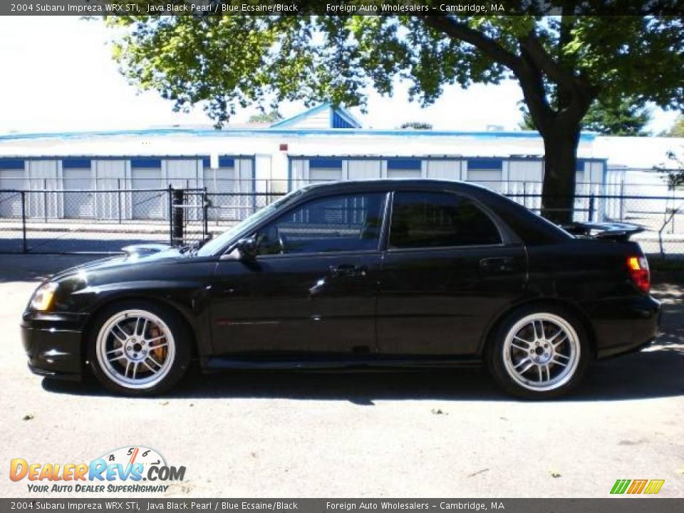 2004 Subaru Impreza WRX STi Java Black Pearl / Blue Ecsaine/Black Photo #30
