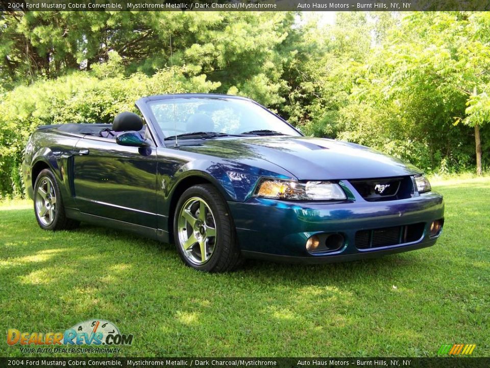 Mystichrome Metallic 2004 Ford Mustang Cobra Convertible Photo #3