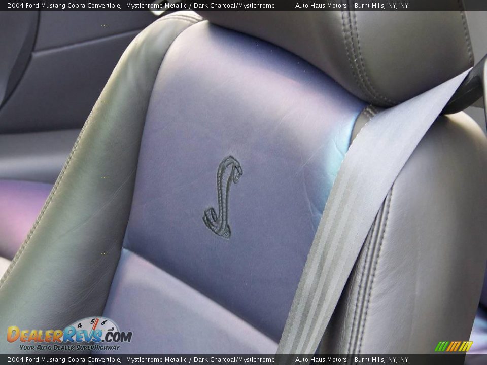 Dark Charcoal/Mystichrome Interior - 2004 Ford Mustang Cobra Convertible Photo #18