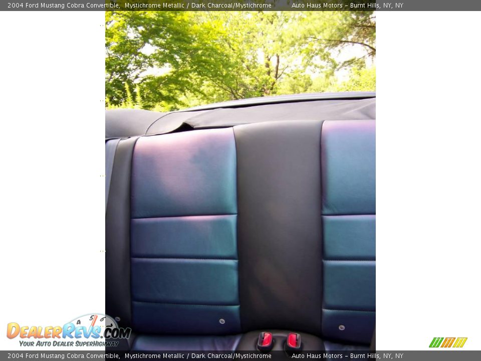 Rear Seat of 2004 Ford Mustang Cobra Convertible Photo #25