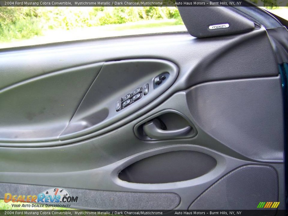 Door Panel of 2004 Ford Mustang Cobra Convertible Photo #26