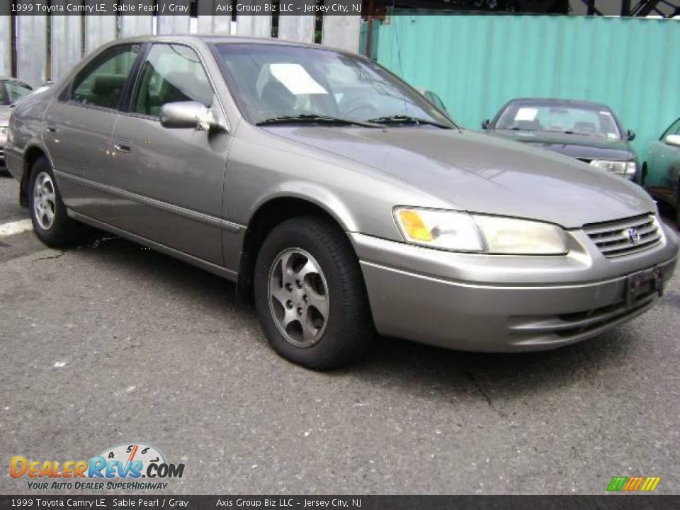1999 Toyota Camry LE Sable Pearl / Gray Photo #1