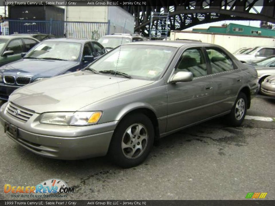 1999 Toyota Camry LE Sable Pearl / Gray Photo #2