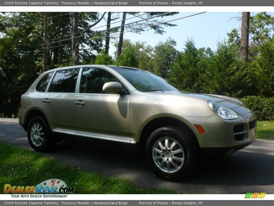 2004 Porsche Cayenne Tiptronic Prosecco Metallic / Havanna/Sand Beige Photo #8