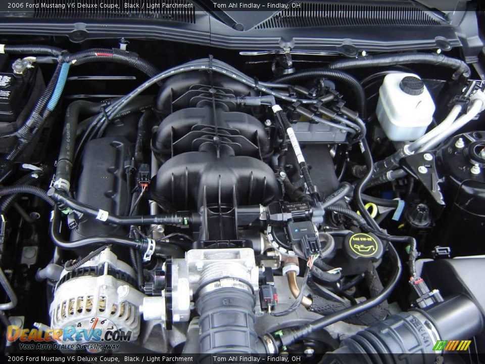 2006 Ford Mustang V6 Deluxe Coupe Black / Light Parchment Photo #13