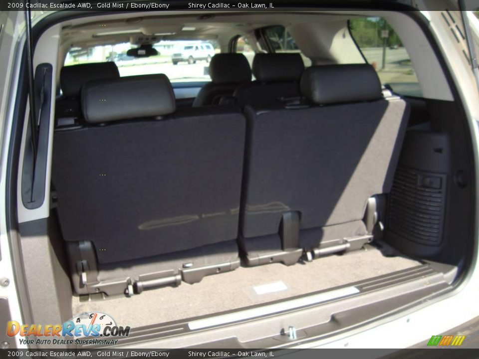 2009 Cadillac Escalade AWD Gold Mist / Ebony/Ebony Photo #10