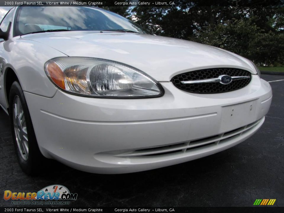 2003 Ford Taurus SEL Vibrant White / Medium Graphite Photo #13