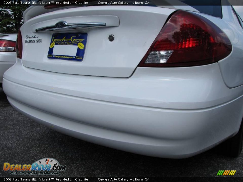 2003 Ford Taurus SEL Vibrant White / Medium Graphite Photo #18