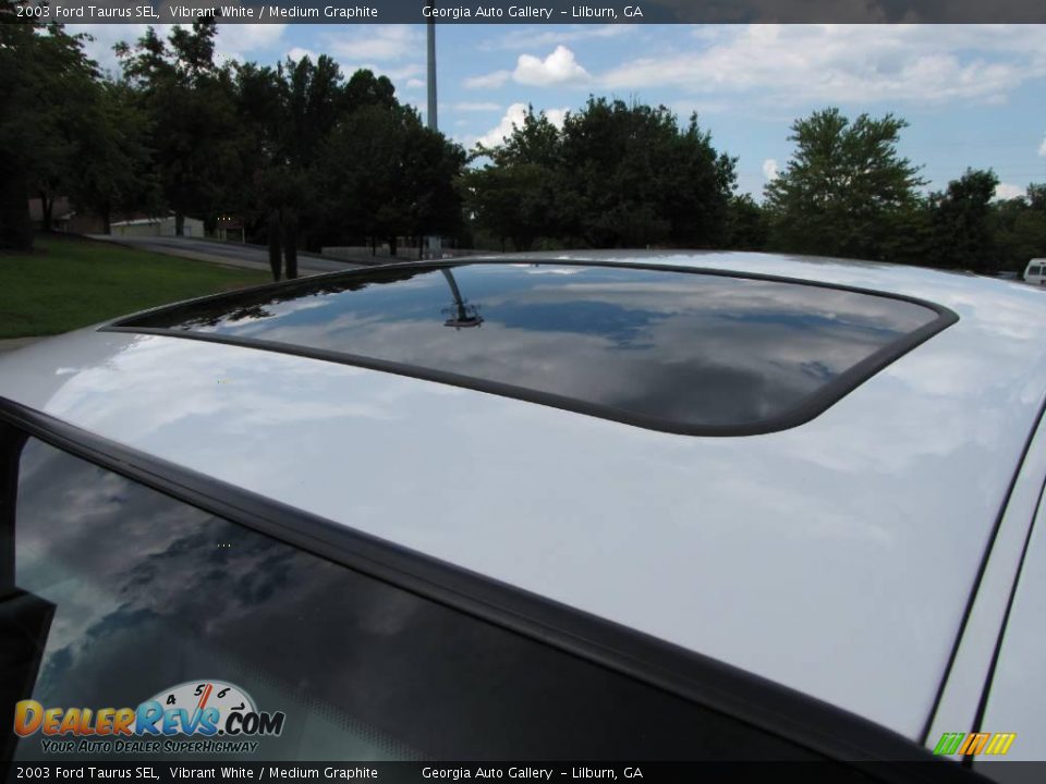 2003 Ford Taurus SEL Vibrant White / Medium Graphite Photo #22