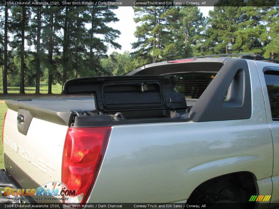 2004 Chevrolet Avalanche 1500 Silver Birch Metallic / Dark Charcoal Photo #6
