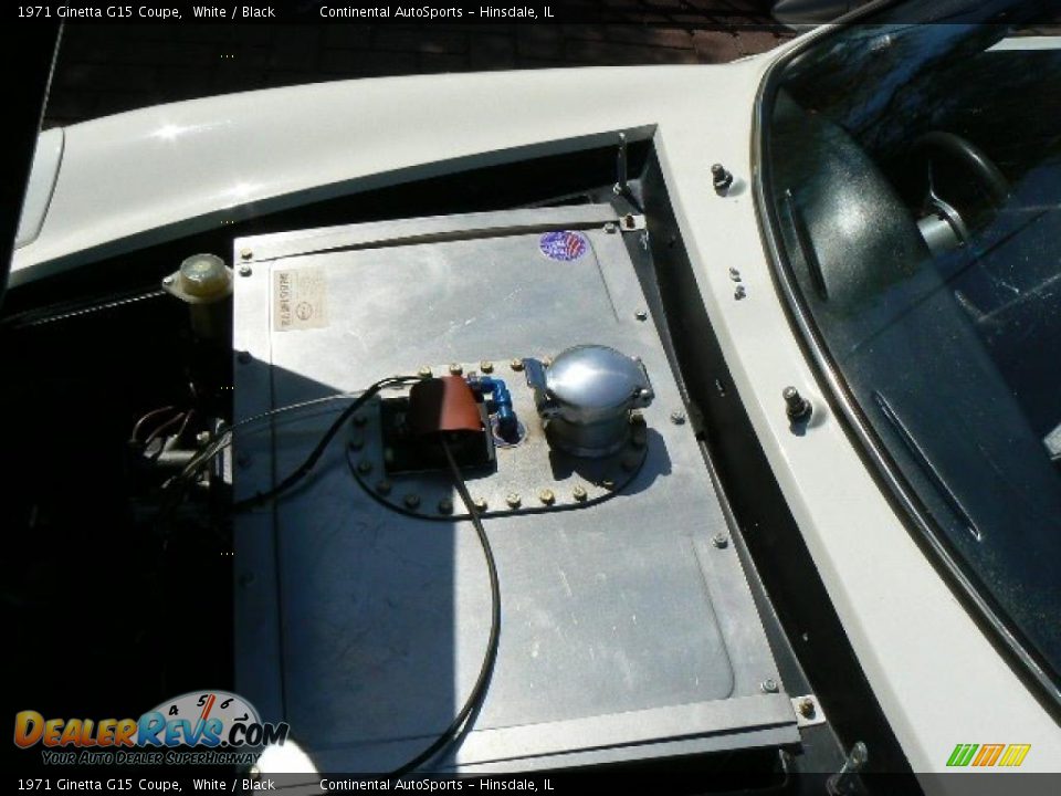 1971 Ginetta G15 Coupe Trunk Photo #8