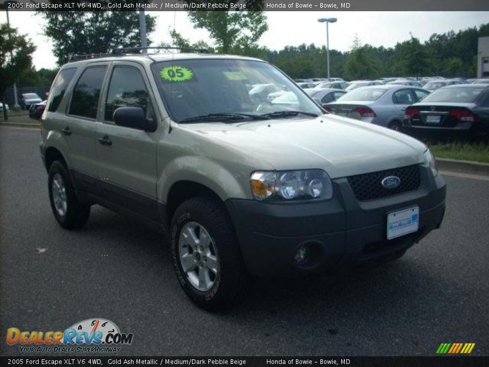 2005 Ford Escape XLT V6 4WD Gold Ash Metallic / Medium/Dark Pebble Beige Photo #1