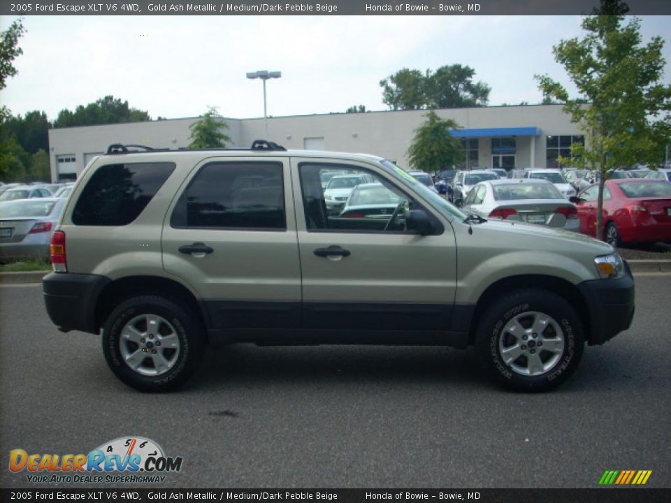 2005 Ford Escape XLT V6 4WD Gold Ash Metallic / Medium/Dark Pebble Beige Photo #2