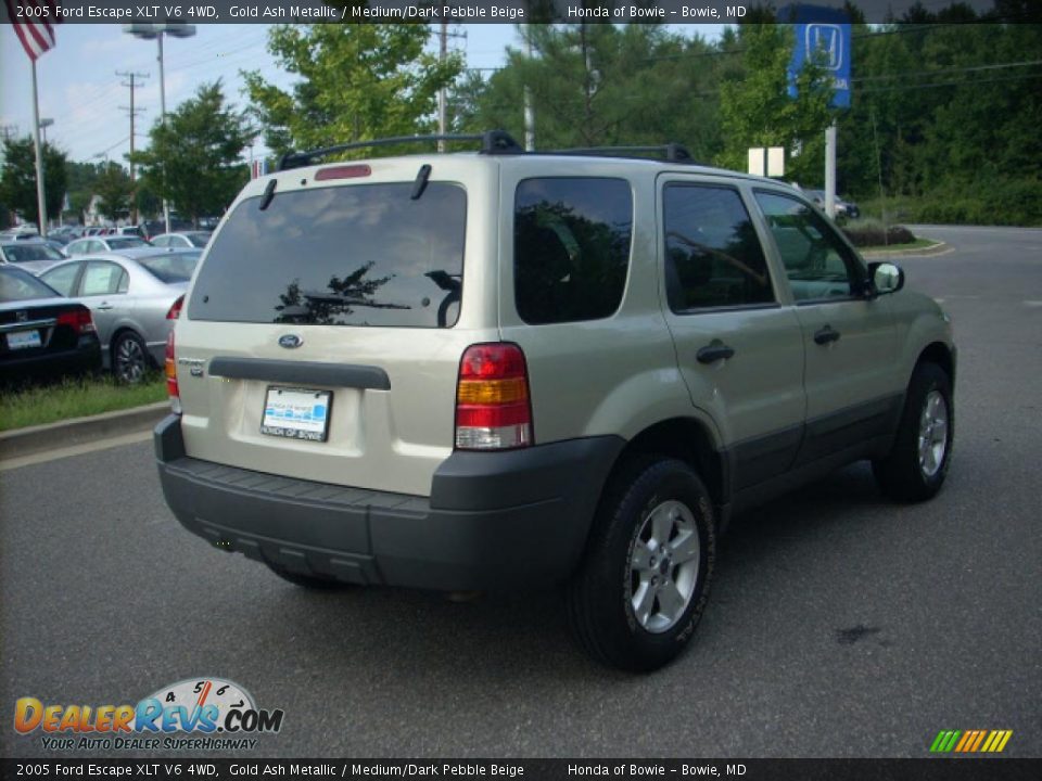 2005 Ford Escape XLT V6 4WD Gold Ash Metallic / Medium/Dark Pebble Beige Photo #3