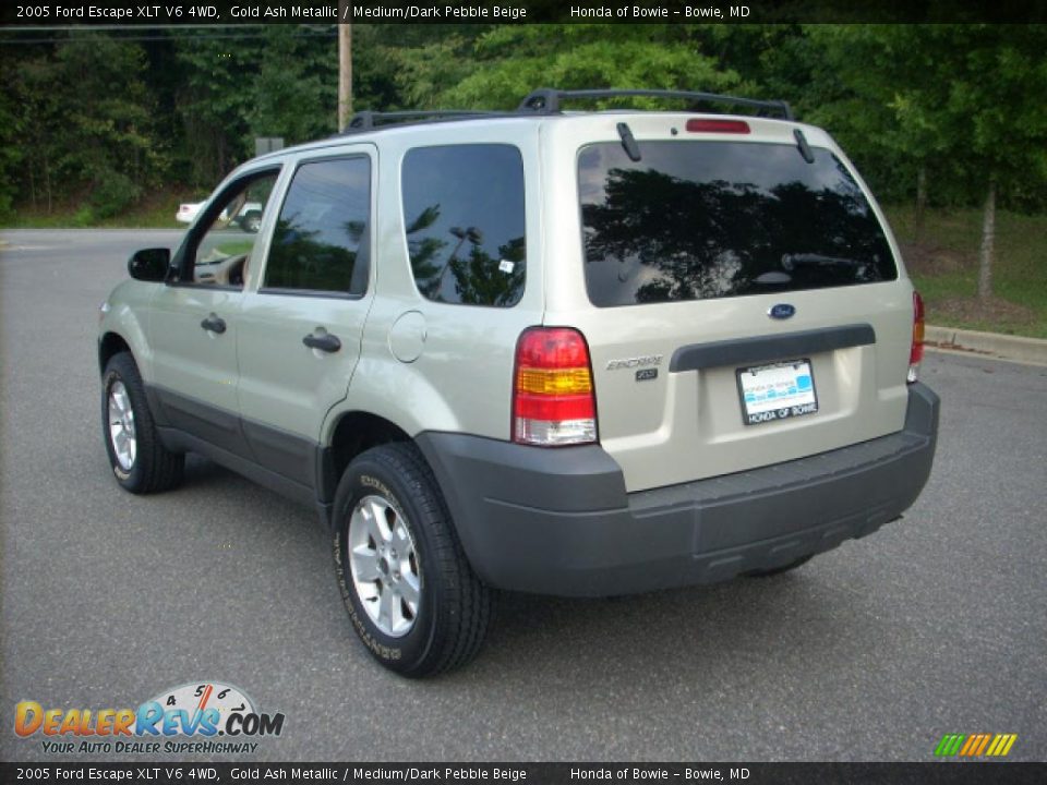 2005 Ford Escape XLT V6 4WD Gold Ash Metallic / Medium/Dark Pebble Beige Photo #5