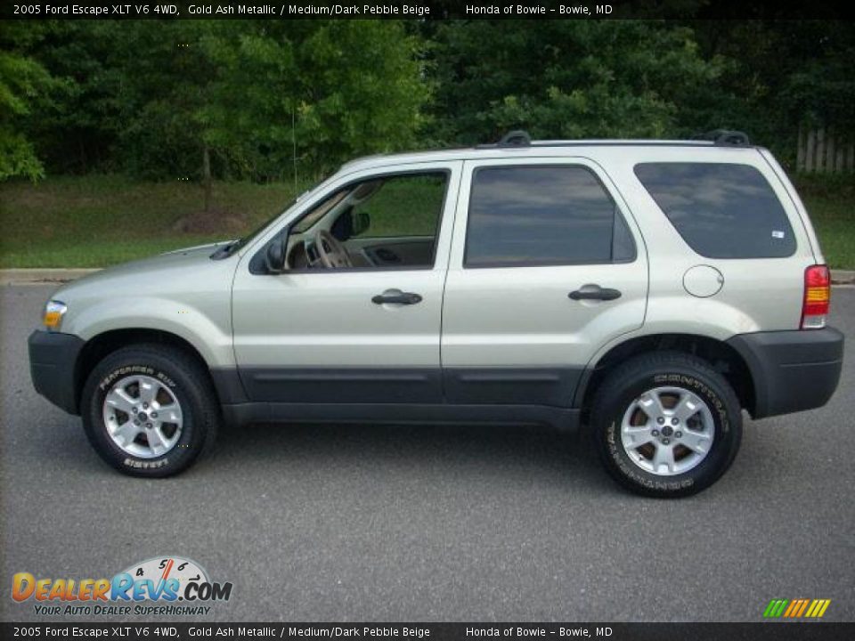 2005 Ford Escape XLT V6 4WD Gold Ash Metallic / Medium/Dark Pebble Beige Photo #6