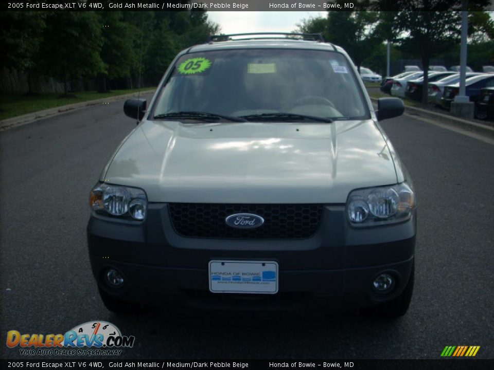 2005 Ford Escape XLT V6 4WD Gold Ash Metallic / Medium/Dark Pebble Beige Photo #8