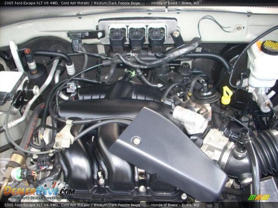 2005 Ford Escape XLT V6 4WD Gold Ash Metallic / Medium/Dark Pebble Beige Photo #9