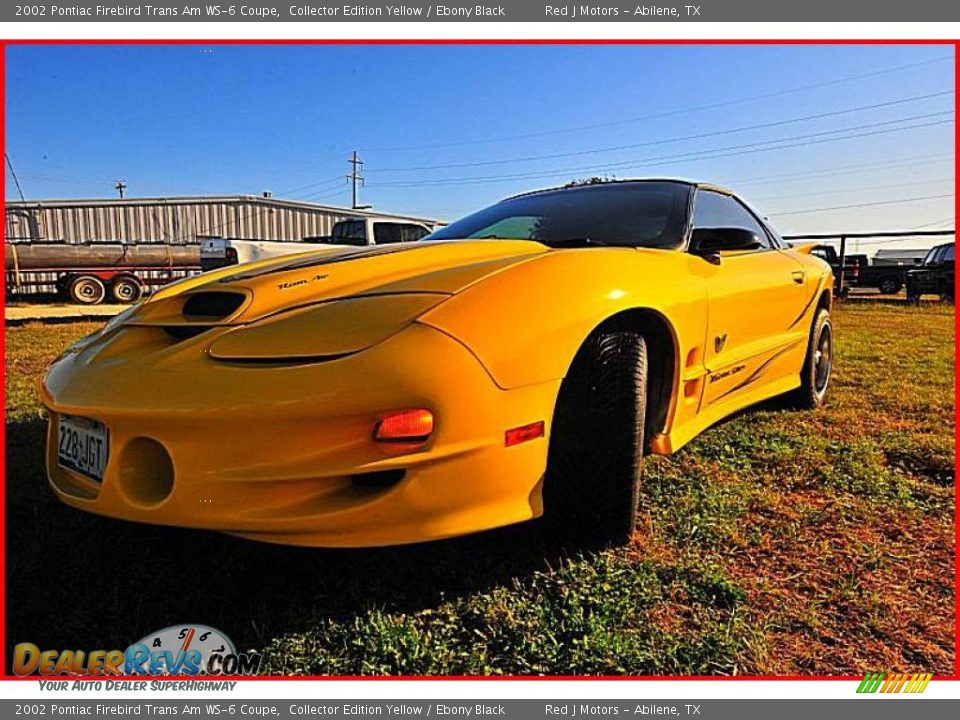 2002 Pontiac Firebird Trans Am WS-6 Coupe Collector Edition Yellow / Ebony Black Photo #1