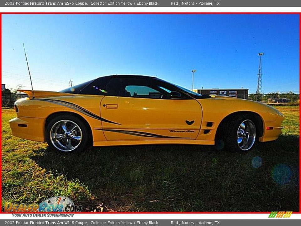 2002 Pontiac Firebird Trans Am WS-6 Coupe Collector Edition Yellow / Ebony Black Photo #8