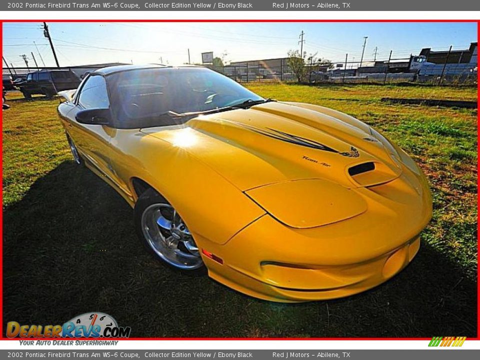 2002 Pontiac Firebird Trans Am WS-6 Coupe Collector Edition Yellow / Ebony Black Photo #9