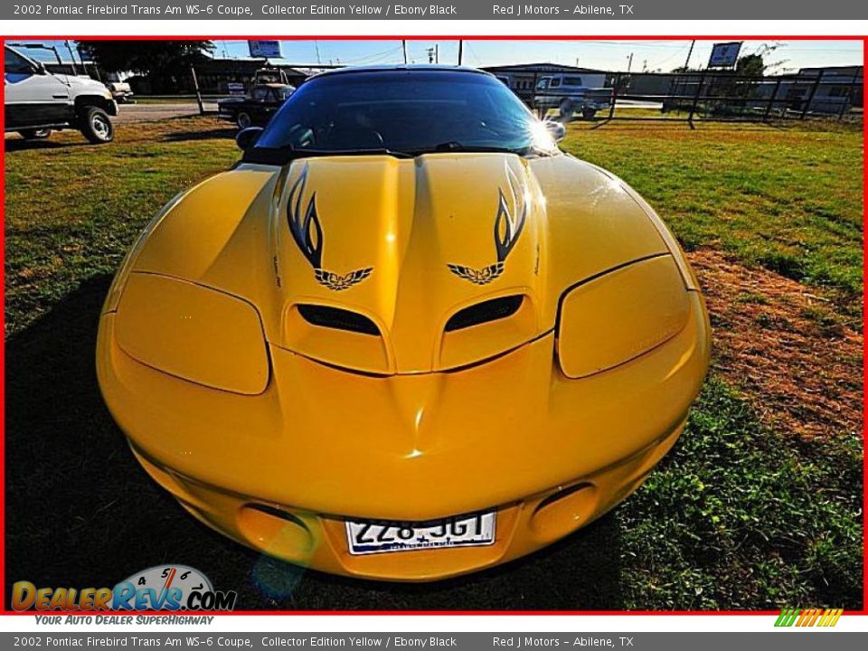 2002 Pontiac Firebird Trans Am WS-6 Coupe Collector Edition Yellow / Ebony Black Photo #10