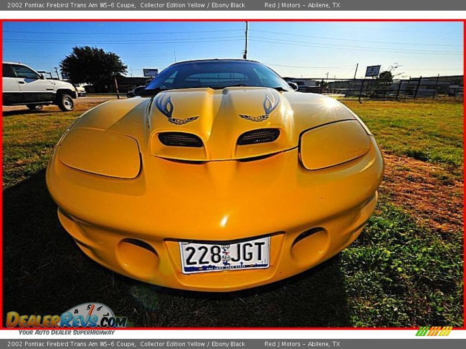 2002 Pontiac Firebird Trans Am WS-6 Coupe Collector Edition Yellow / Ebony Black Photo #11