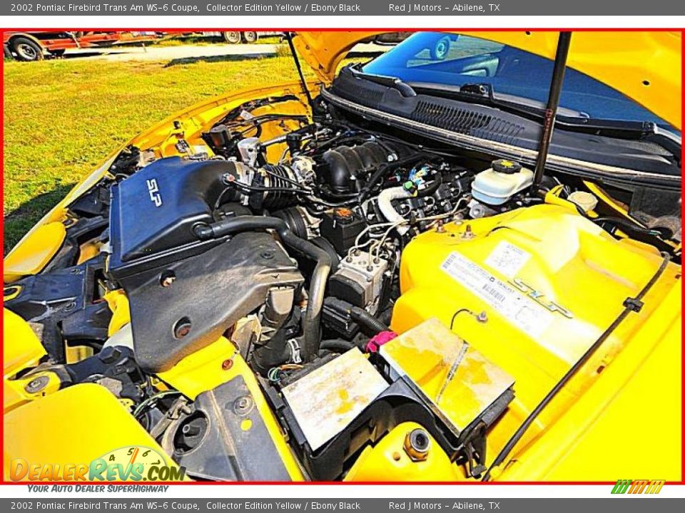 2002 Pontiac Firebird Trans Am WS-6 Coupe Collector Edition Yellow / Ebony Black Photo #14