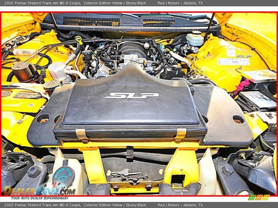 2002 Pontiac Firebird Trans Am WS-6 Coupe Collector Edition Yellow / Ebony Black Photo #15